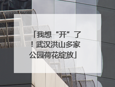 我想“开”了！武汉洪山多家公园荷花绽放