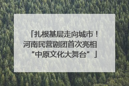 扎根基层走向城市！河南民营剧团首次亮相“中原文化大舞台”