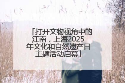 打开文物视角中的江南，上海2025年文化和自然遗产日主题活动启幕