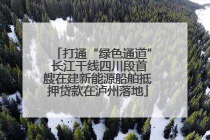打通“绿色通道” 长江干线四川段首艘在建新能源船舶抵押贷款在泸州落地