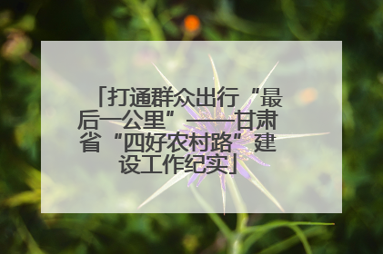 打通群众出行“最后一公里”——甘肃省“四好农村路”建设工作纪实