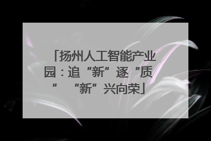扬州人工智能产业园：追“新”逐“质” “新”兴向荣