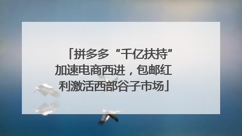 拼多多“千亿扶持”加速电商西进，包邮红利激活西部谷子市场