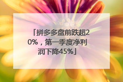 拼多多盘前跌超20%，第一季度净利润下降45%