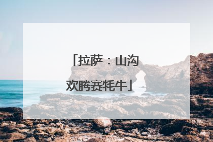 拉萨：山沟欢腾赛牦牛