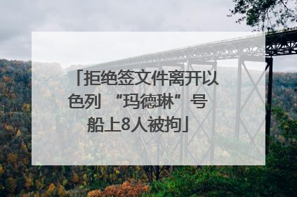 拒绝签文件离开以色列 “玛德琳”号船上8人被拘