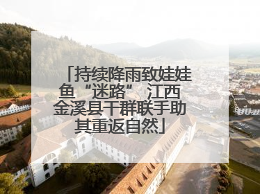 持续降雨致娃娃鱼“迷路” 江西金溪县干群联手助其重返自然
