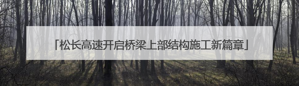 松长高速开启桥梁上部结构施工新篇章
