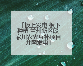 板上发电 板下种植 兰州新区段家川农光互补项目并网发电