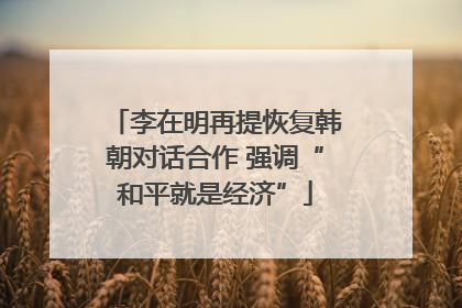 李在明再提恢复韩朝对话合作 强调“和平就是经济”