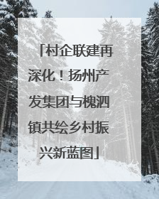 村企联建再深化！扬州产发集团与槐泗镇共绘乡村振兴新蓝图