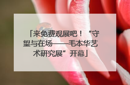 来免费观展吧！“守望与在场——毛本华艺术研究展”开幕