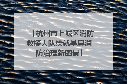 杭州市上城区消防救援大队绘就基层消防治理新图景