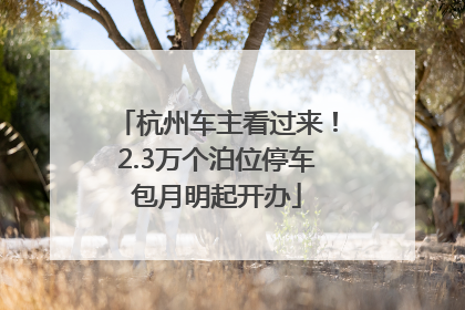 杭州车主看过来！2.3万个泊位停车包月明起开办
