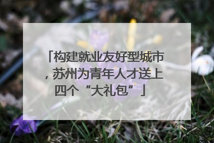 构建就业友好型城市，苏州为青年人才送上四个“大礼包”