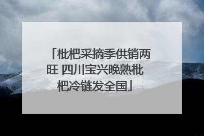 枇杷采摘季供销两旺 四川宝兴晚熟枇杷冷链发全国
