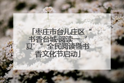 枣庄市台儿庄区“书香台城·阅读一‘夏’”全民阅读暨书香文化节启动