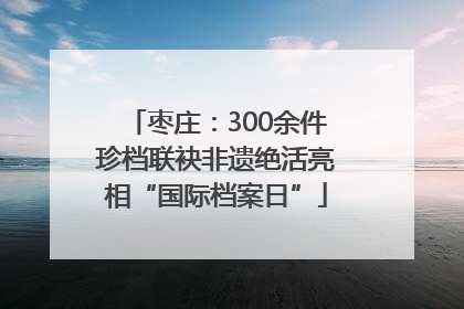 枣庄：300余件珍档联袂非遗绝活亮相“国际档案日”