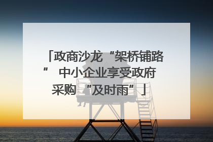 政商沙龙“架桥铺路” 中小企业享受政府采购 “及时雨”
