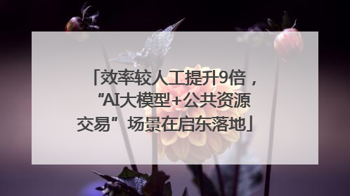 效率较人工提升9倍，“AI大模型+公共资源交易”场景在启东落地