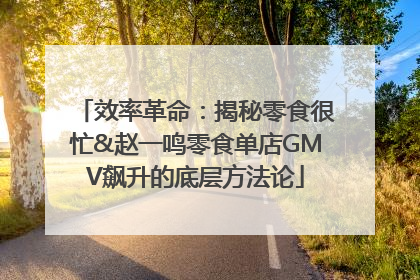 效率革命：揭秘零食很忙&赵一鸣零食单店GMV飙升的底层方法论