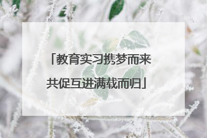 教育实习携梦而来 共促互进满载而归