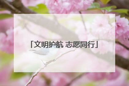 文明护航 志愿同行