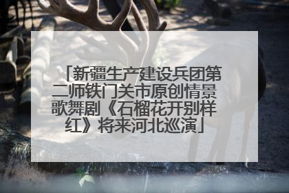 新疆生产建设兵团第二师铁门关市原创情景歌舞剧《石榴花开别样红》将来河北巡演