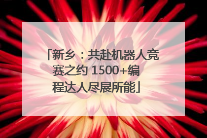 新乡：共赴机器人竞赛之约 1500+编程达人尽展所能