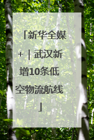新华全媒+｜武汉新增10条低空物流航线