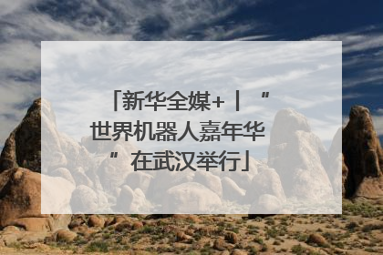 新华全媒+丨“世界机器人嘉年华”在武汉举行