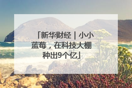 新华财经｜小小蓝莓，在科技大棚种出9个亿