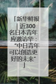新华鲜报｜近300名日本青年应邀访华：“中日青年可以创造更好的未来”