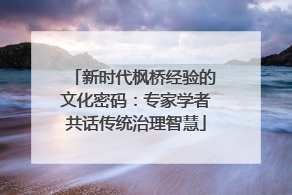 新时代枫桥经验的文化密码：专家学者共话传统治理智慧