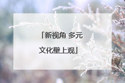 新视角 多元文化壁上观