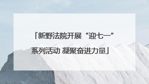 新野法院开展“迎七一”系列活动 凝聚奋进力量