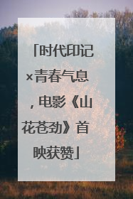 时代印记×青春气息，电影《山花苍劲》首映获赞