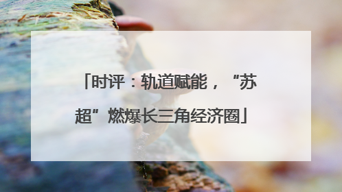 时评：轨道赋能，“苏超”燃爆长三角经济圈