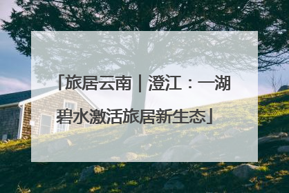旅居云南｜澄江：一湖碧水激活旅居新生态