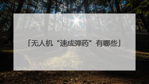 无人机“速成弹药”有哪些