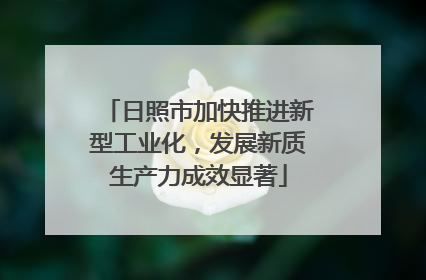 日照市加快推进新型工业化，发展新质生产力成效显著