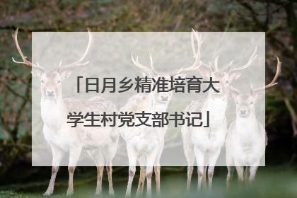 日月乡精准培育大学生村党支部书记