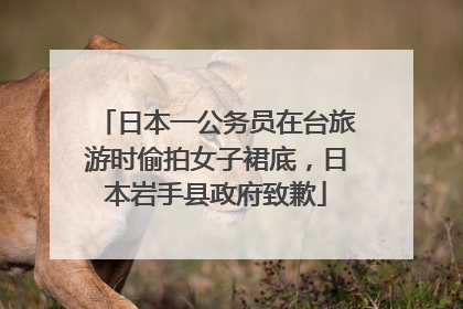 日本一公务员在台旅游时偷拍女子裙底，日本岩手县政府致歉
