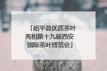 昭平县优质茶叶亮相第十九届西安国际茶叶博览会