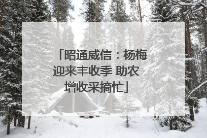 昭通威信：杨梅迎来丰收季 助农增收采摘忙
