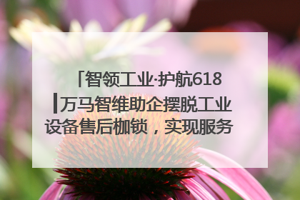 智领工业·护航618┃万马智维助企摆脱工业设备售后枷锁，实现服务与效能价值共振！