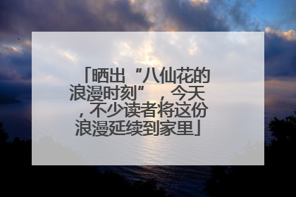 晒出“八仙花的浪漫时刻”，今天，不少读者将这份浪漫延续到家里