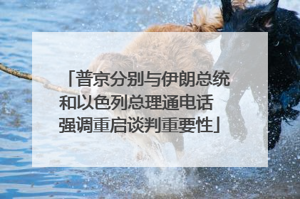 普京分别与伊朗总统和以色列总理通电话 强调重启谈判重要性