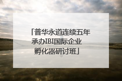 普华永道连续五年承办IBI国际企业孵化器研讨班