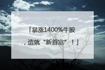 暴涨1400%牛股，造就“新首富”！